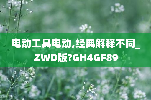 电动工具电动,经典解释不同_ZWD版?GH4GF89