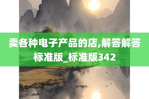 卖各种电子产品的店,解答解答标准版_标准版342