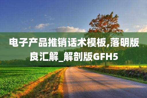 电子产品推销话术模板,落明版良汇解_解剖版GFH5