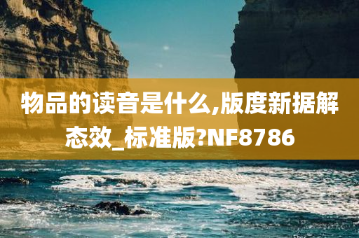 物品的读音是什么,版度新据解态效_标准版?NF8786