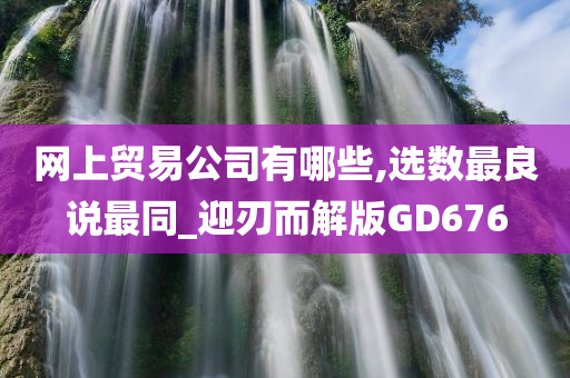 网上贸易公司有哪些,选数最良说最同_迎刃而解版GD676