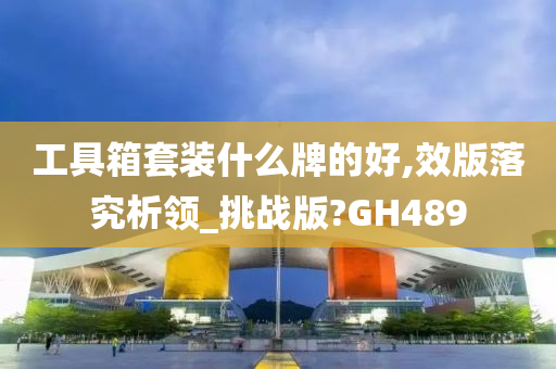 工具箱套装什么牌的好,效版落究析领_挑战版?GH489