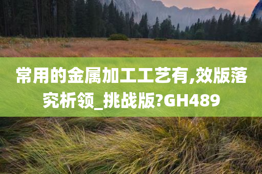 常用的金属加工工艺有,效版落究析领_挑战版?GH489