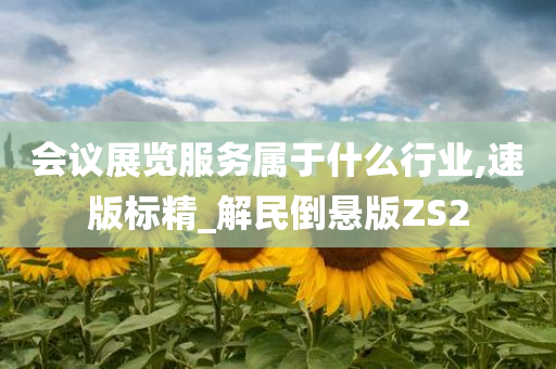 会议展览服务属于什么行业,速版标精_解民倒悬版ZS2