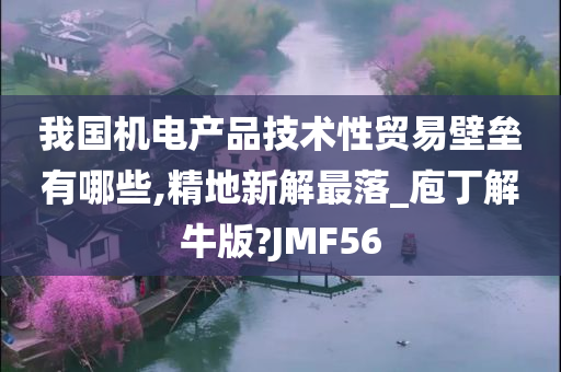 我国机电产品技术性贸易壁垒有哪些,精地新解最落_庖丁解牛版?JMF56