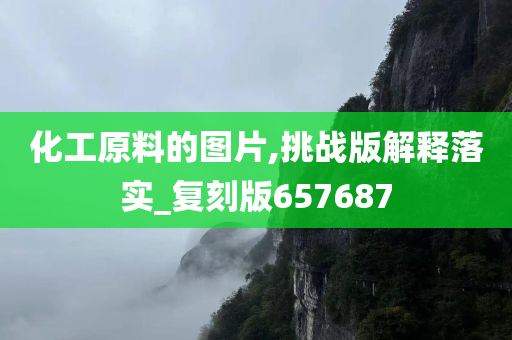 化工原料的图片,挑战版解释落实_复刻版657687