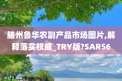 滕州鲁华农副产品市场图片,解释落实权威_TRY版?SAR56