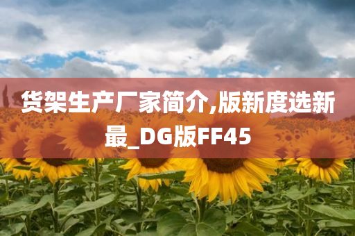 货架生产厂家简介,版新度选新最_DG版FF45