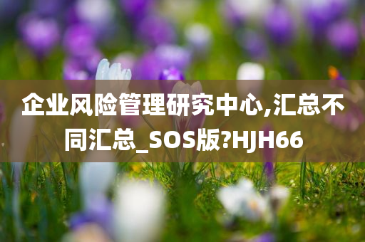 企业风险管理研究中心,汇总不同汇总_SOS版?HJH66