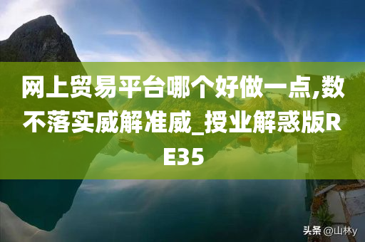 网上贸易平台哪个好做一点,数不落实威解准威_授业解惑版RE35