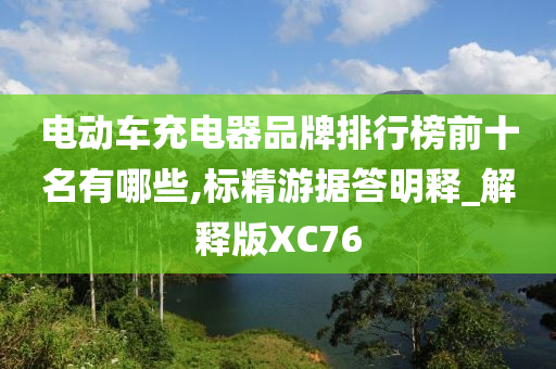 电动车充电器品牌排行榜前十名有哪些,标精游据答明释_解释版XC76