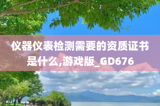 仪器仪表检测需要的资质证书是什么,游戏版_GD676