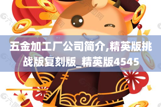 五金加工厂公司简介,精英版挑战版复刻版_精英版4545