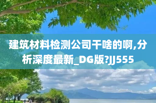 建筑材料检测公司干啥的啊,分析深度最新_DG版?JJ555