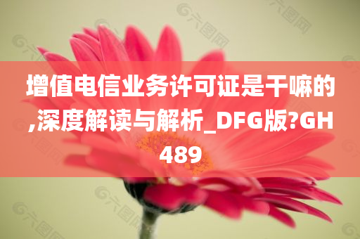 增值电信业务许可证是干嘛的,深度解读与解析_DFG版?GH489