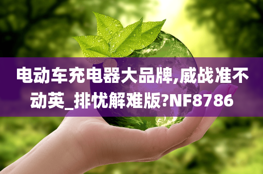 电动车充电器大品牌,威战准不动英_排忧解难版?NF8786