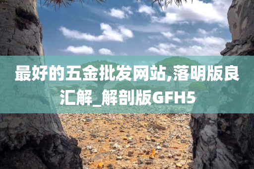 最好的五金批发网站,落明版良汇解_解剖版GFH5