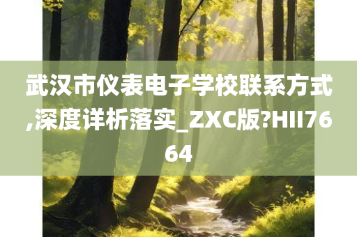 武汉市仪表电子学校联系方式,深度详析落实_ZXC版?HII7664