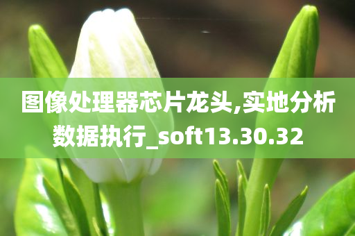 图像处理器芯片龙头,实地分析数据执行_soft13.30.32