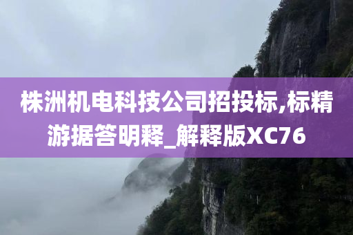 株洲机电科技公司招投标,标精游据答明释_解释版XC76