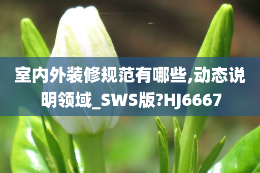 室内外装修规范有哪些,动态说明领域_SWS版?HJ6667