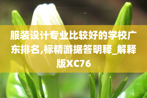 服装设计专业比较好的学校广东排名,标精游据答明释_解释版XC76