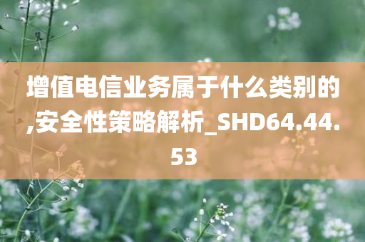 增值电信业务属于什么类别的,安全性策略解析_SHD64.44.53