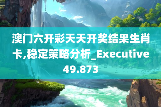 澳门六开彩天天开奖结果生肖卡,稳定策略分析_Executive49.873