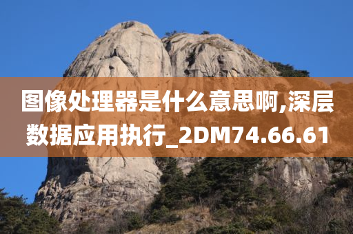 图像处理器是什么意思啊,深层数据应用执行_2DM74.66.61