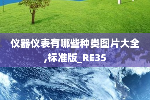 仪器仪表有哪些种类图片大全,标准版_RE35