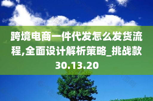 跨境电商一件代发怎么发货流程,全面设计解析策略_挑战款30.13.20