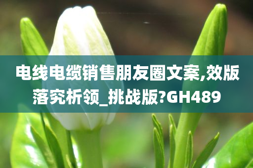 电线电缆销售朋友圈文案,效版落究析领_挑战版?GH489