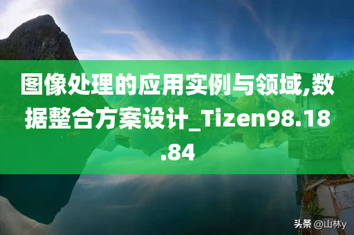 图像处理的应用实例与领域,数据整合方案设计_Tizen98.18.84