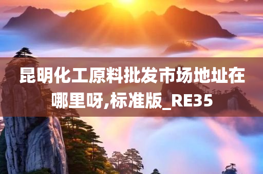 昆明化工原料批发市场地址在哪里呀,标准版_RE35