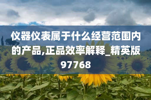 仪器仪表属于什么经营范围内的产品,正品效率解释_精英版97768