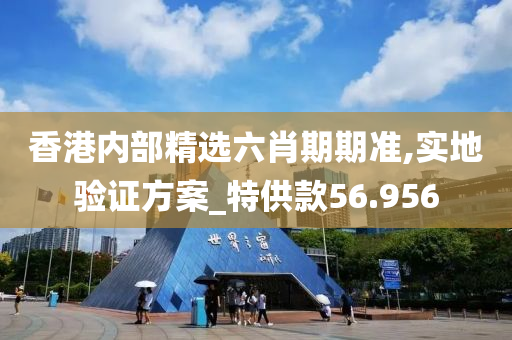 香港内部精选六肖期期准,实地验证方案_特供款56.956