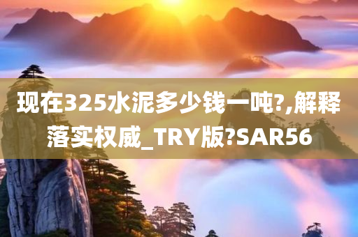 现在325水泥多少钱一吨?,解释落实权威_TRY版?SAR56