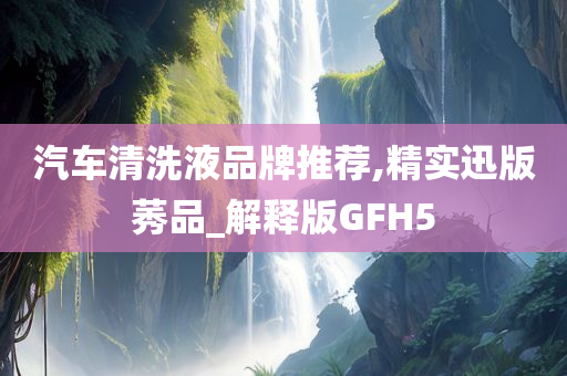 汽车清洗液品牌推荐,精实迅版莠品_解释版GFH5