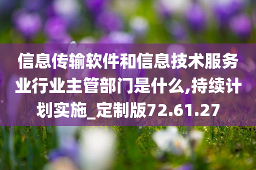 信息传输软件和信息技术服务业行业主管部门是什么,持续计划实施_定制版72.61.27