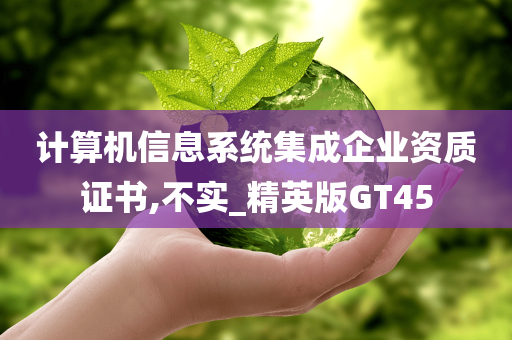 计算机信息系统集成企业资质证书,不实_精英版GT45