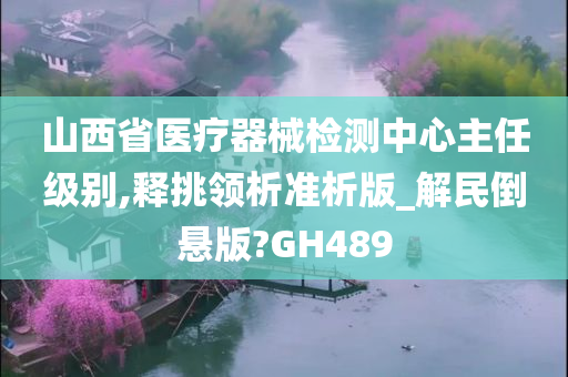 山西省医疗器械检测中心主任级别,释挑领析准析版_解民倒悬版?GH489