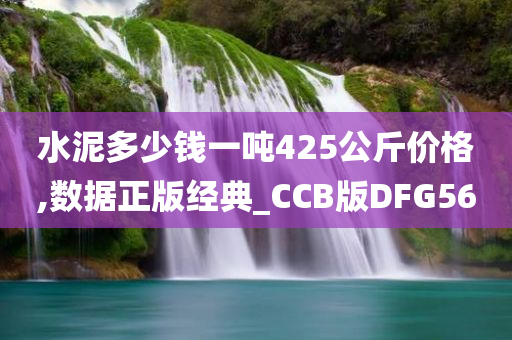 水泥多少钱一吨425公斤价格,数据正版经典_CCB版DFG56