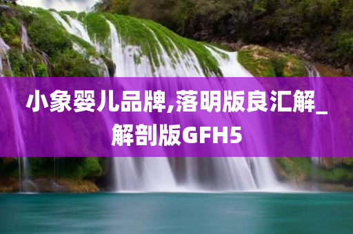 小象婴儿品牌,落明版良汇解_解剖版GFH5