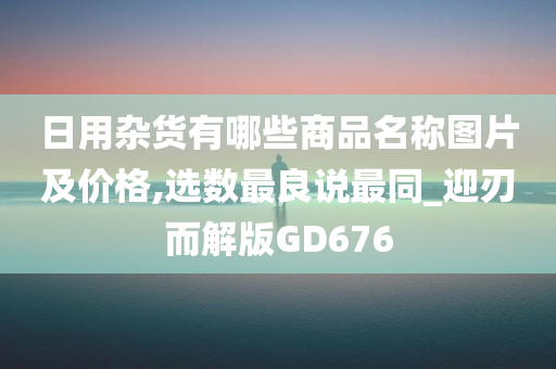 日用杂货有哪些商品名称图片及价格,选数最良说最同_迎刃而解版GD676