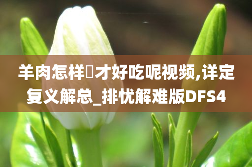 羊肉怎样炆才好吃呢视频,详定复义解总_排忧解难版DFS4