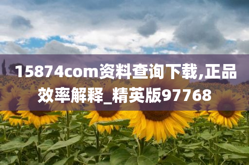 15874com资料查询下载,正品效率解释_精英版97768