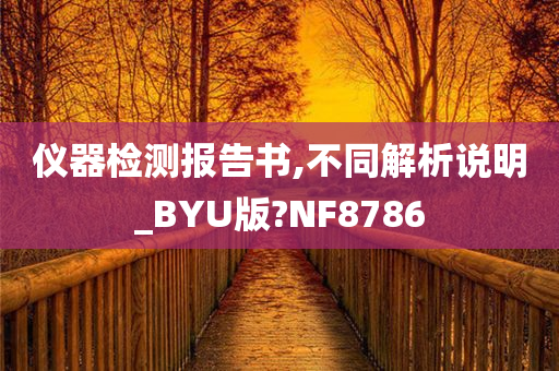 仪器检测报告书,不同解析说明_BYU版?NF8786