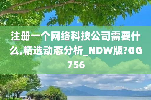 注册一个网络科技公司需要什么,精选动态分析_NDW版?GG756