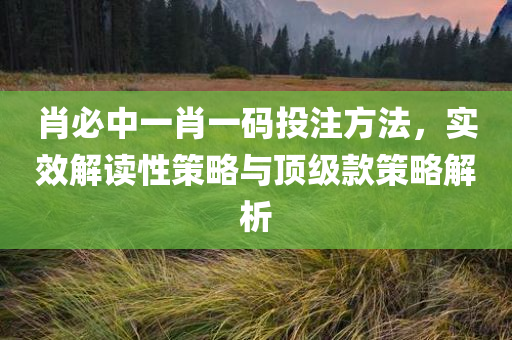 肖必中一肖一码投注方法，实效解读性策略与顶级款策略解析