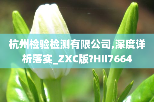 杭州检验检测有限公司,深度详析落实_ZXC版?HII7664